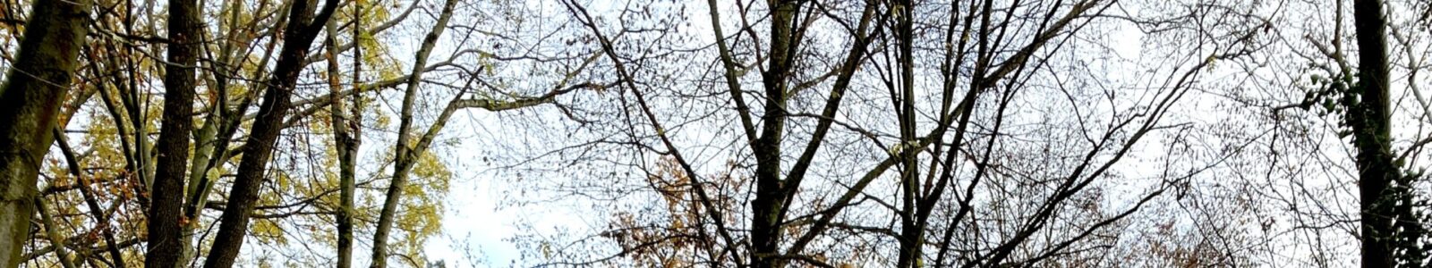 4__SCHWAELBLESKLINGE