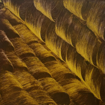 moving, 2022, Öl auf Leinwand, 100 x 100 cm
